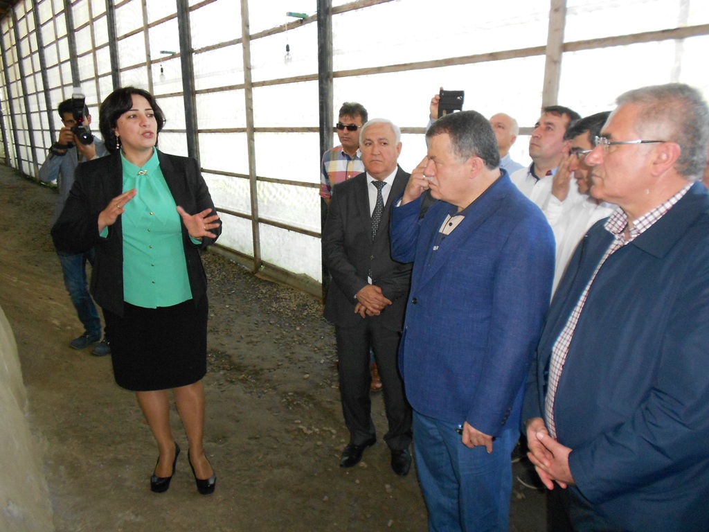 Quba Rayon İcra Hakimiyyəti rəsmiləri , Türkiyyə Respublikasının Baş Prokuroru Mehmet Akarca ve digər qonaqlar  “Soyqırım memorial kompleksi”ni ziyarət ediblər.