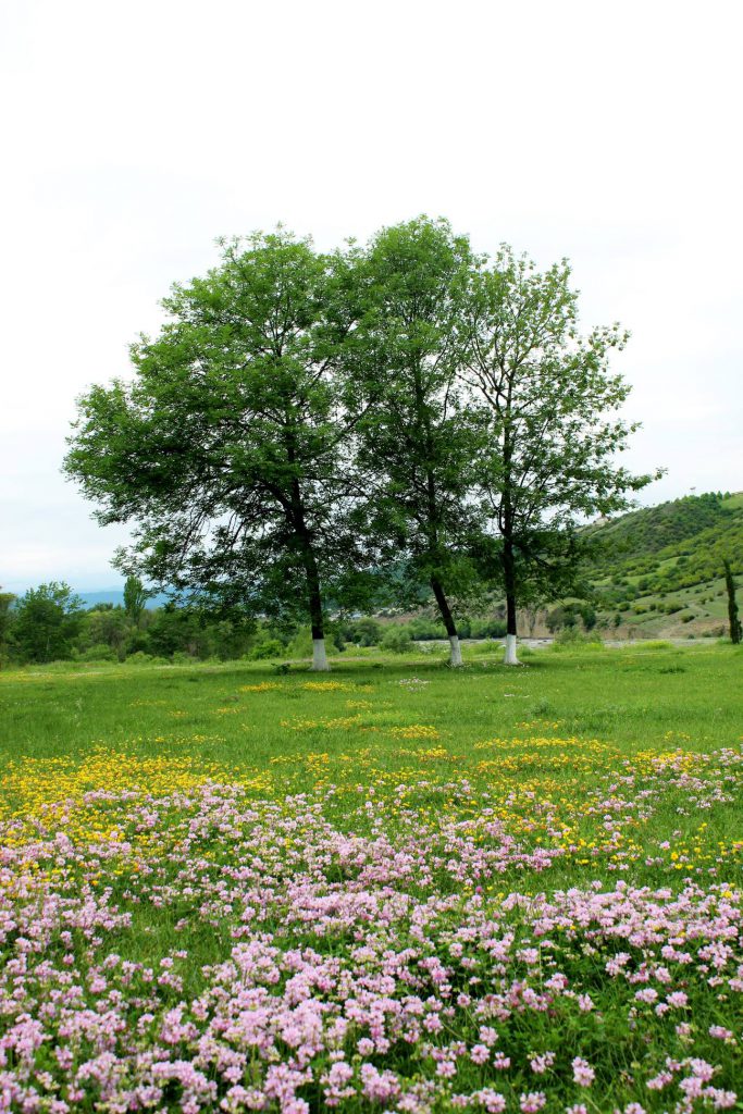 Quba şəhərində "Soyqırımı Memorial Kompleksi"
