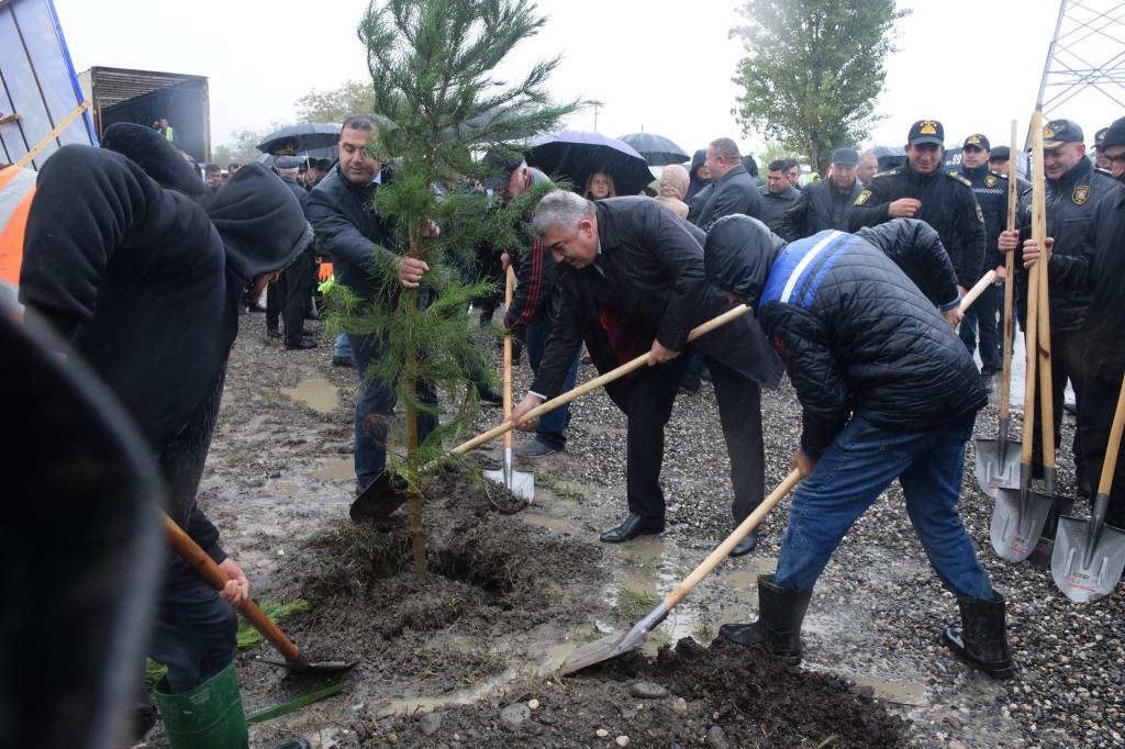 В Губинском районе в рамках «Года солидарности во имя зелёного мира» прошла акция по посадке деревьев.