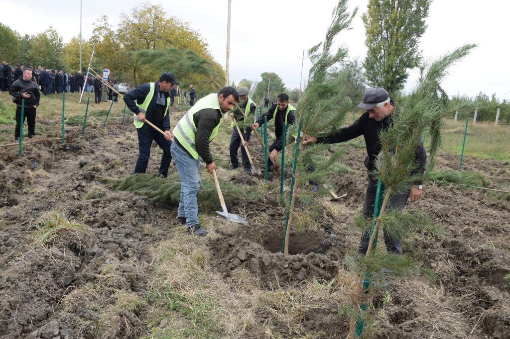 On October 25, 2024, within the framework of a social project related to the declaration of 2024 as the “Year of Solidarity for a Green World” in our country, per the relevant Decree by the President of the Republic of Azerbaijan, Mr. Ilham Aliyev, a tree-planting event was held along the section of the Guba-Baku highway passing through the Quba district.