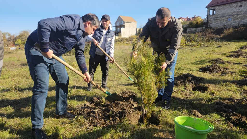 As part of the “Year of Solidarity for a Green World,” a tree-planting campaign was held near the Genocide Memorial Complex in Guba.