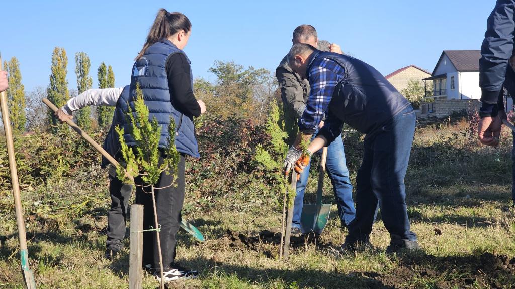 As part of the “Year of Solidarity for a Green World,” a tree-planting campaign was held near the Genocide Memorial Complex in Guba.