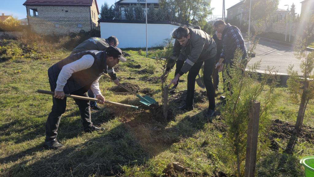 As part of the “Year of Solidarity for a Green World,” a tree-planting campaign was held near the Genocide Memorial Complex in Guba.
