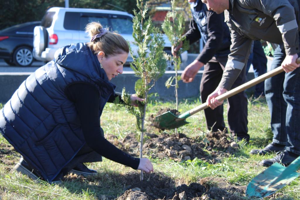 As part of the “Year of Solidarity for a Green World,” a tree-planting campaign was held near the Genocide Memorial Complex in Guba.