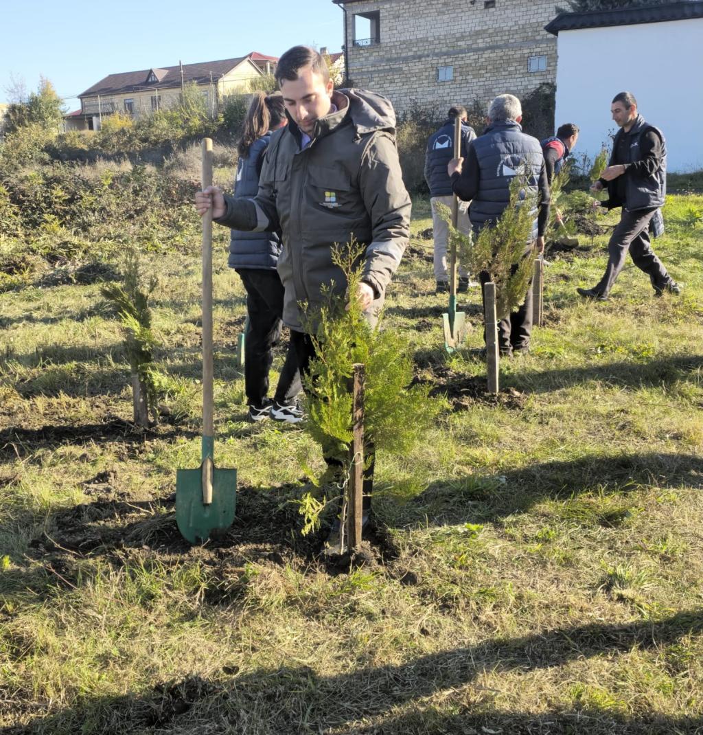 As part of the “Year of Solidarity for a Green World,” a tree-planting campaign was held near the Genocide Memorial Complex in Guba.