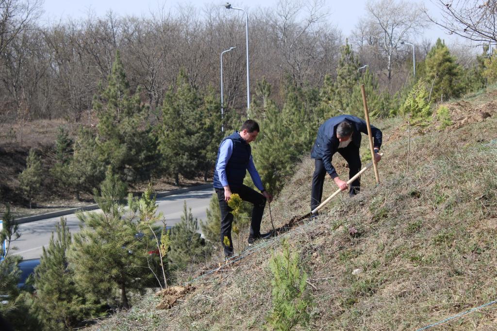 “Konstitusiya və Suverenlik İli” çərçivəsində Quba şəhərində 17.03.2025-ci il tarixində "Soyqırımı Memorial Kompleksi"nin  və Azərbaycan Respublikası Ekologiya və Təbii Sərvətlər Nazirliyinin Quba Regional Meşə Təsərrüfatı Mərkəzinin birgə təşkilatçılığı ilə 1918-ci il azərbaycanlılara qarşı soyqırımların 107-ci ildönümü ilə əlaqədar və Yaşıl dünyaya töhfə vermək məqsədilə ağacəkmə kampaniyası həyata keçirib.