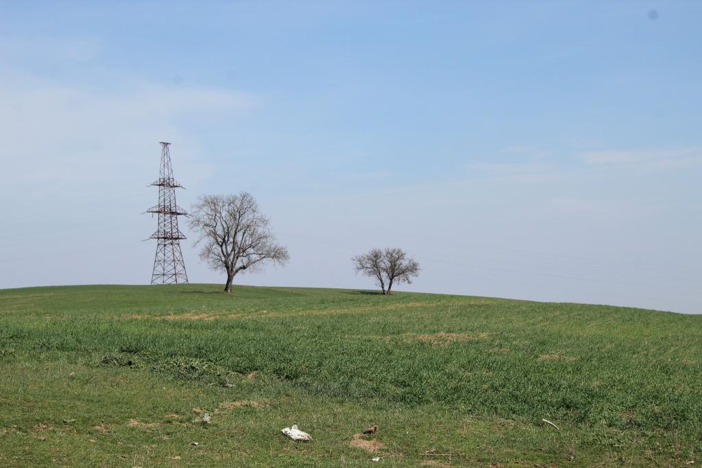 Quba şəhərində "Soyqırımı Memorial Kompleksi"nin əməkdaşları ətraf mühitin mühafizəsi və təmizliyin təşkili məqsədilə iməclik kampaniyası təşkil ediblər. Martın 17-də keçirilən kampaniya Quba rayonunun Digah kəndində, yerli müqavimət hərəkatının baş verdiyi Qanlı Dərə ərazisində təşkil olunub.  Kampaniya çərçivəsində ərazi tullantılardan təmizlənərək kənarlaşdırılıb. Cari ildə Kompleks əməkdaşları tərəfindən bu kimi kampaniyaların mütəmadi keçirilməsi planlaşdırılır.
