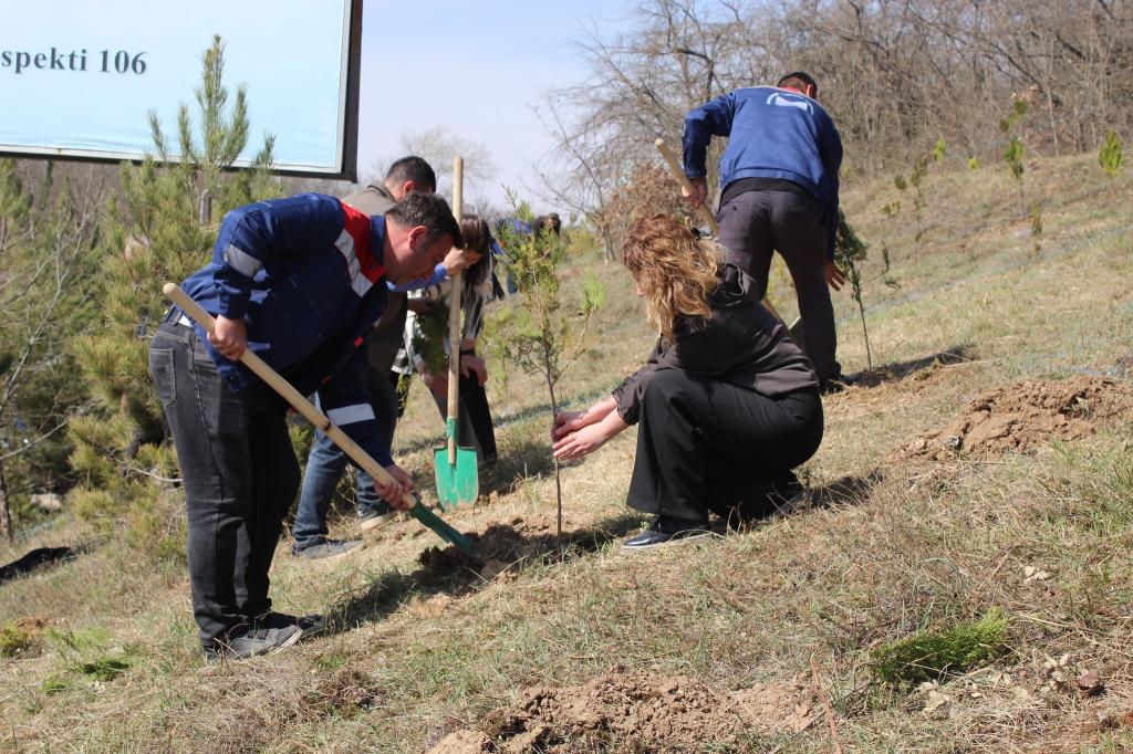 “Konstitusiya və Suverenlik İli” çərçivəsində Quba şəhərində 17.03.2025-ci il tarixində "Soyqırımı Memorial Kompleksi"nin  və Azərbaycan Respublikası Ekologiya və Təbii Sərvətlər Nazirliyinin Quba Regional Meşə Təsərrüfatı Mərkəzinin birgə təşkilatçılığı ilə 1918-ci il azərbaycanlılara qarşı soyqırımların 107-ci ildönümü ilə əlaqədar və Yaşıl dünyaya töhfə vermək məqsədilə ağacəkmə kampaniyası həyata keçirib.