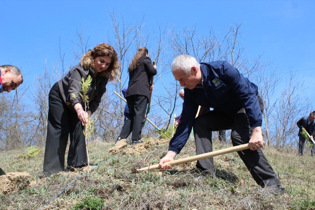“Konstitusiya və Suverenlik İli” çərçivəsində Quba şəhərində 17.03.2025-ci il tarixində "Soyqırımı Memorial Kompleksi"nin  və Azərbaycan Respublikası Ekologiya və Təbii Sərvətlər Nazirliyinin Quba Regional Meşə Təsərrüfatı Mərkəzinin birgə təşkilatçılığı ilə 1918-ci il azərbaycanlılara qarşı soyqırımların 107-ci ildönümü ilə əlaqədar və Yaşıl dünyaya töhfə vermək məqsədilə ağacəkmə kampaniyası həyata keçirib.