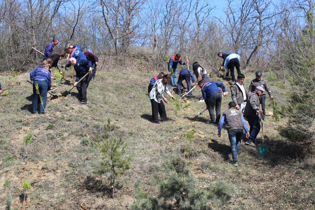 “Konstitusiya və Suverenlik İli” çərçivəsində Quba şəhərində 17.03.2025-ci il tarixində "Soyqırımı Memorial Kompleksi"nin  və Azərbaycan Respublikası Ekologiya və Təbii Sərvətlər Nazirliyinin Quba Regional Meşə Təsərrüfatı Mərkəzinin birgə təşkilatçılığı ilə 1918-ci il azərbaycanlılara qarşı soyqırımların 107-ci ildönümü ilə əlaqədar və Yaşıl dünyaya töhfə vermək məqsədilə ağacəkmə kampaniyası həyata keçirib.