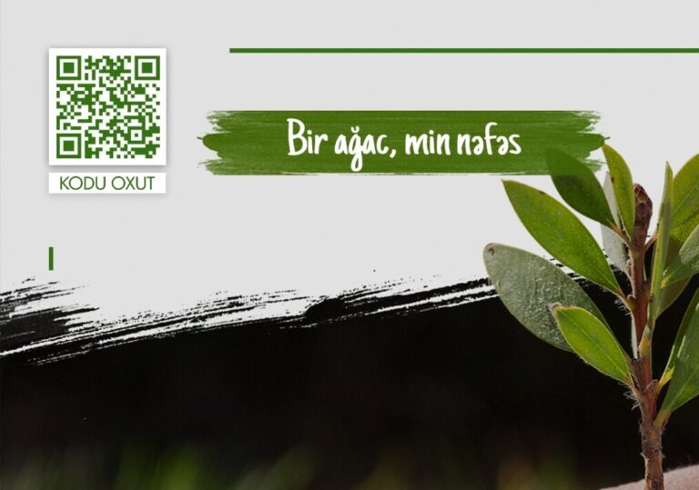 شتلة واحدة – ذكرى واحدة، و أمل واحد! ازرع شجرة تخليدًا لذكرى ضحايا إبادة 31 مارس، و اترك بصمة خضراء من أجل مستقبل أكثر إشراقًا!