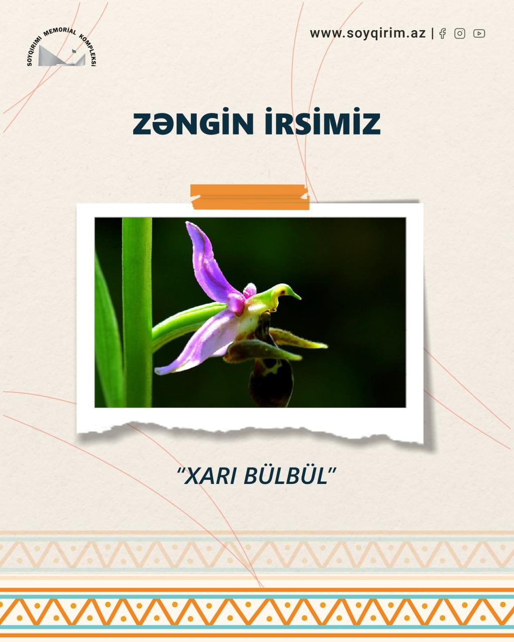 Kharibulbul – The Symbol of Karabakh