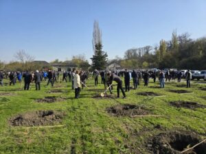 Tree Planting Campaign Held on November 8th – Victory Day, Organized by the Guba District Executive Authority